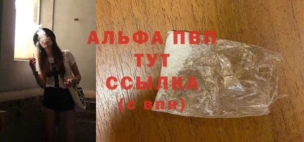 стафф Алзамай