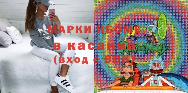 стафф Алзамай