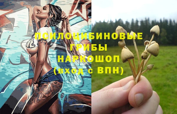 стафф Алзамай
