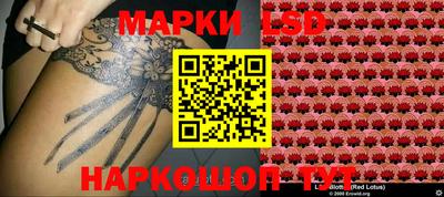 ECSTASY Абакан