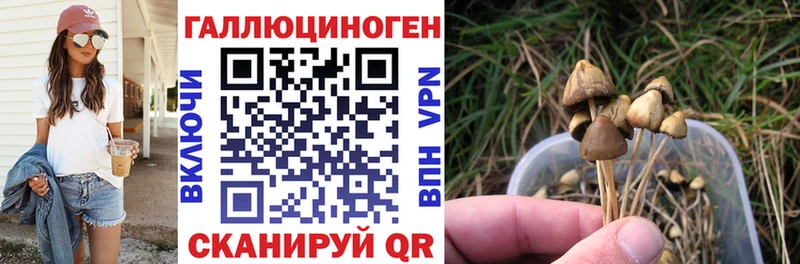 купить   Асино  Псилоцибиновые грибы MAGIC MUSHROOMS 