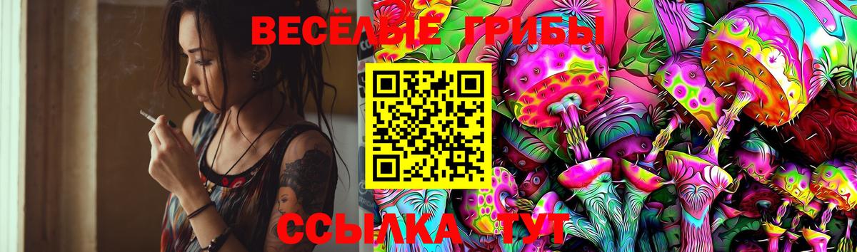 купить наркотики сайты  Псилоцибиновые грибы Psilocybine cubensis  Вход с VPN  Асино 