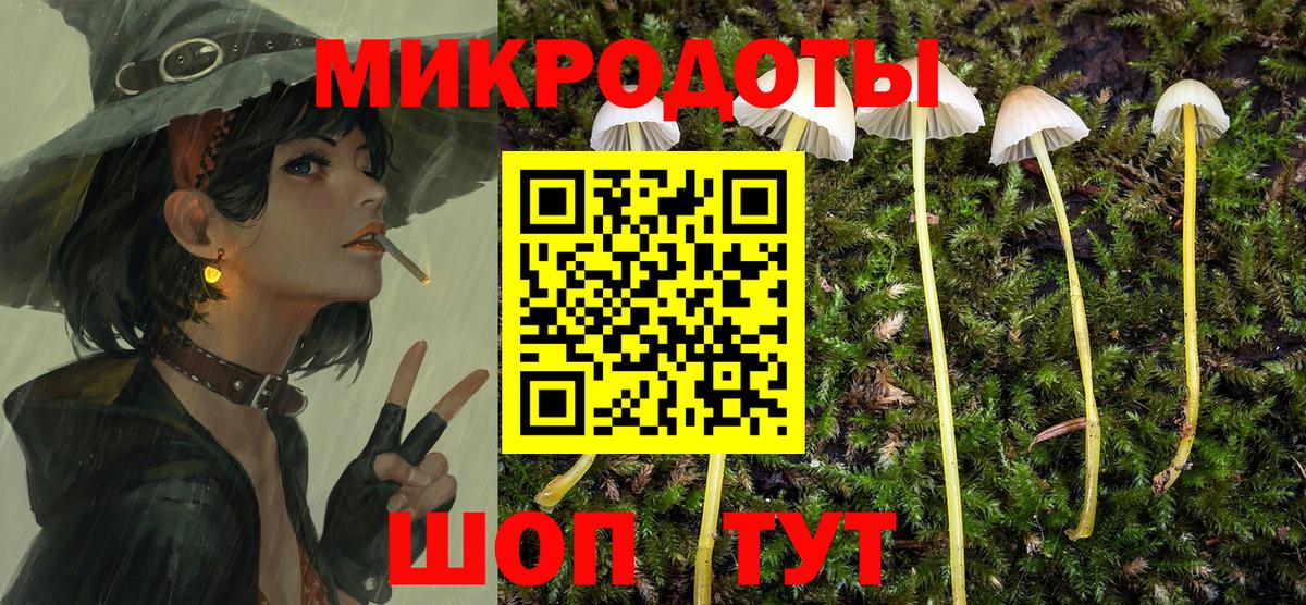 Галлюциногенные грибы мухоморы Асино